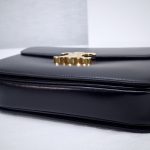 Celine Classique Triomphe Bag