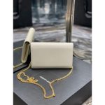 Saint Laurent Uptown Chain Wallet