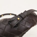 Bottega Veneta Mini Hop