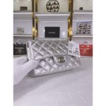 Chanel Mini Flap Bag
