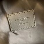 DiorTravel Backpack