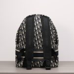 DiorTravel Backpack