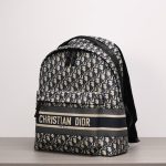 DiorTravel Backpack