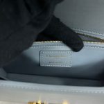 Christian Dior 30 Montaigne Bag